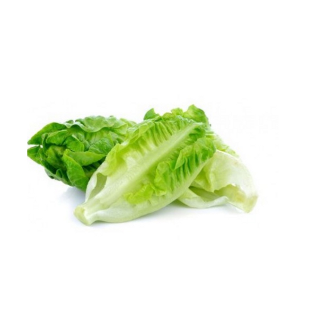 Young Romaine 300g (sold per pack)
