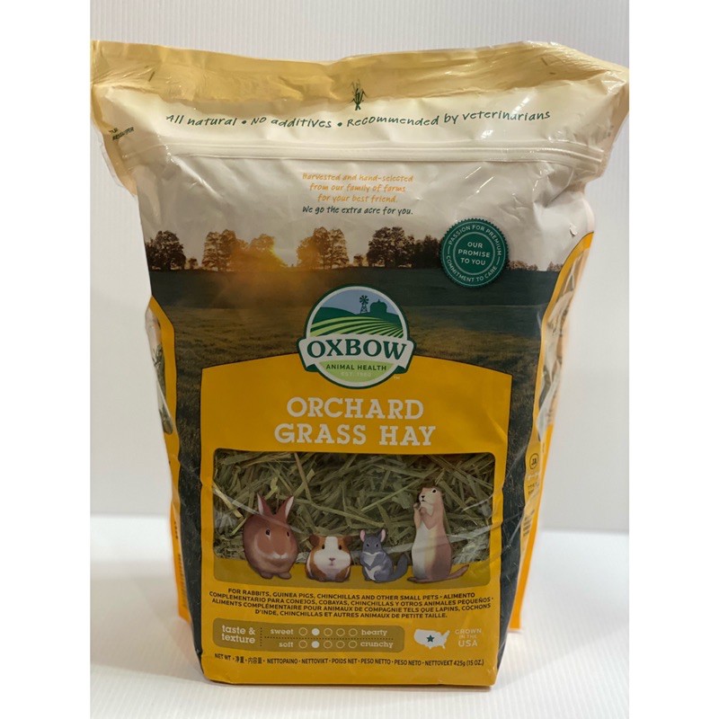orchard grass hay guinea pigs