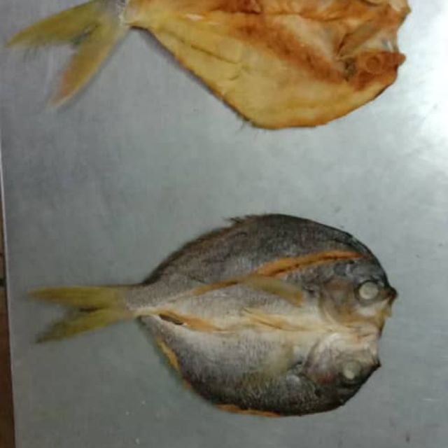 Bilis Biasa Bilis Kopek Ikan Masin Kembung Ikan Masin Anjang2 Ikan