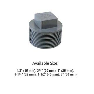 PVC Plug/PVC Stopper / Penutup Paip PVC/ PVC Pipe Fitting Plug (15mm ...