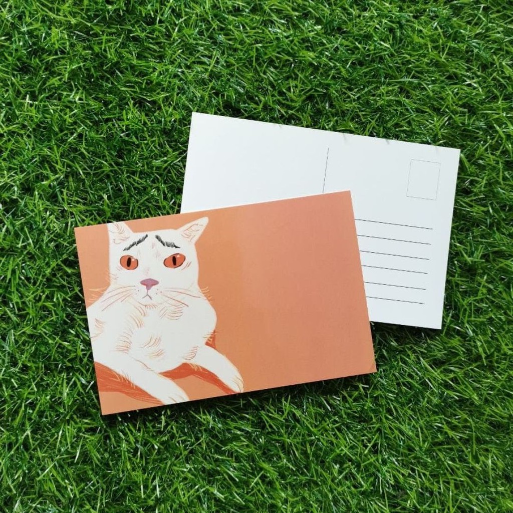 Illustration Kucing Risau Cat Drawing Postcard Shopee Malaysia