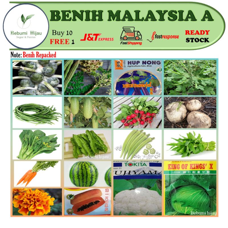 43 Jenis Biji Benih Malaysia (A) SAYUR/ BUAH terung sawi kobis 