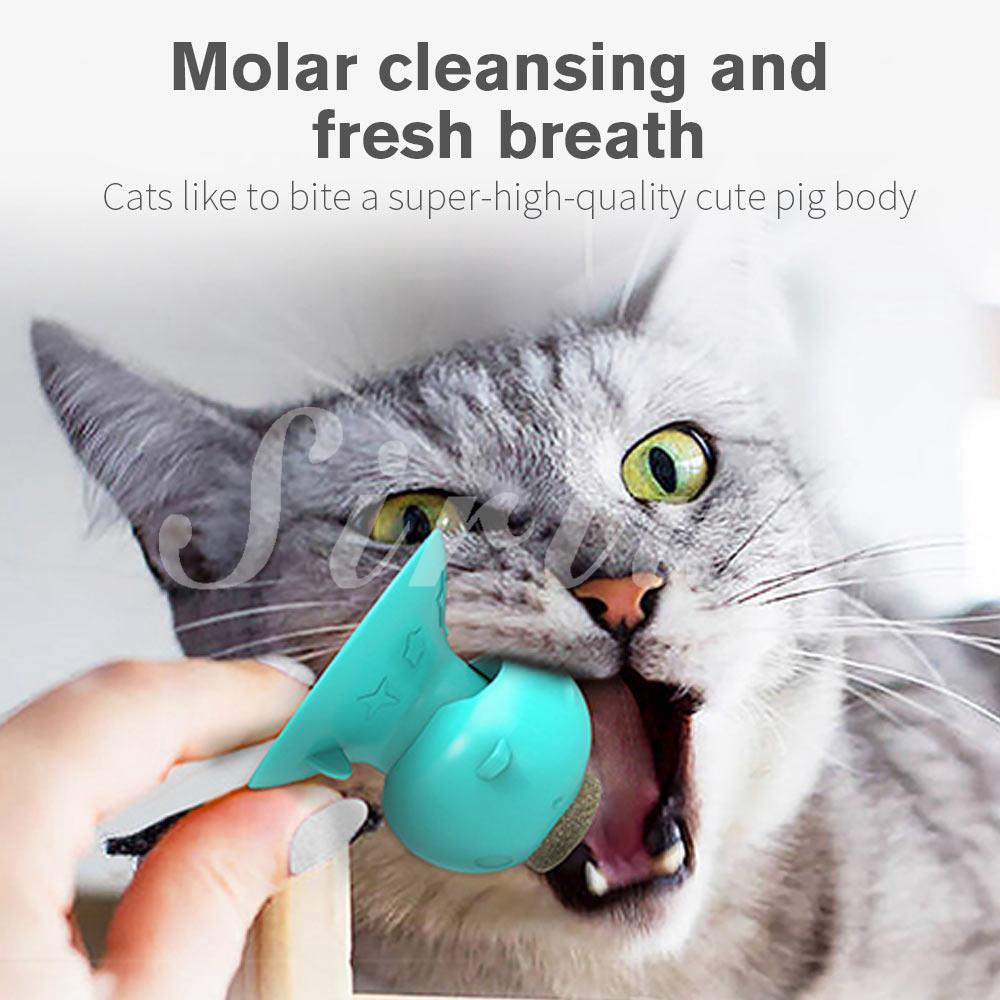 edible cat toys