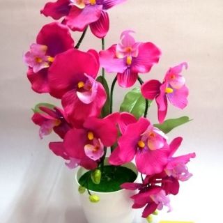  Bunga orkid hiasan  murah hot item 02 Shopee Malaysia