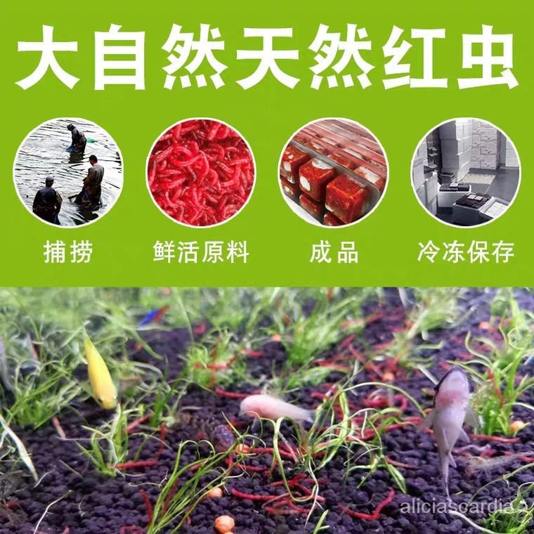 Tortoise Food Aquarium Pet Food 冰冻红虫鱼饲料丰年虾uv赤虫血鹦鹉七彩罗汉小型观赏鱼饲料龟粮alhw Shopee Malaysia