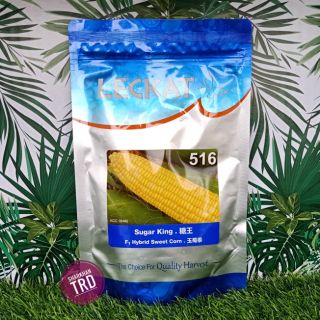 1 Set (500 Gram x 2 Paket) SUGAR KING 516 LECKAT Biji Benih Jagung 