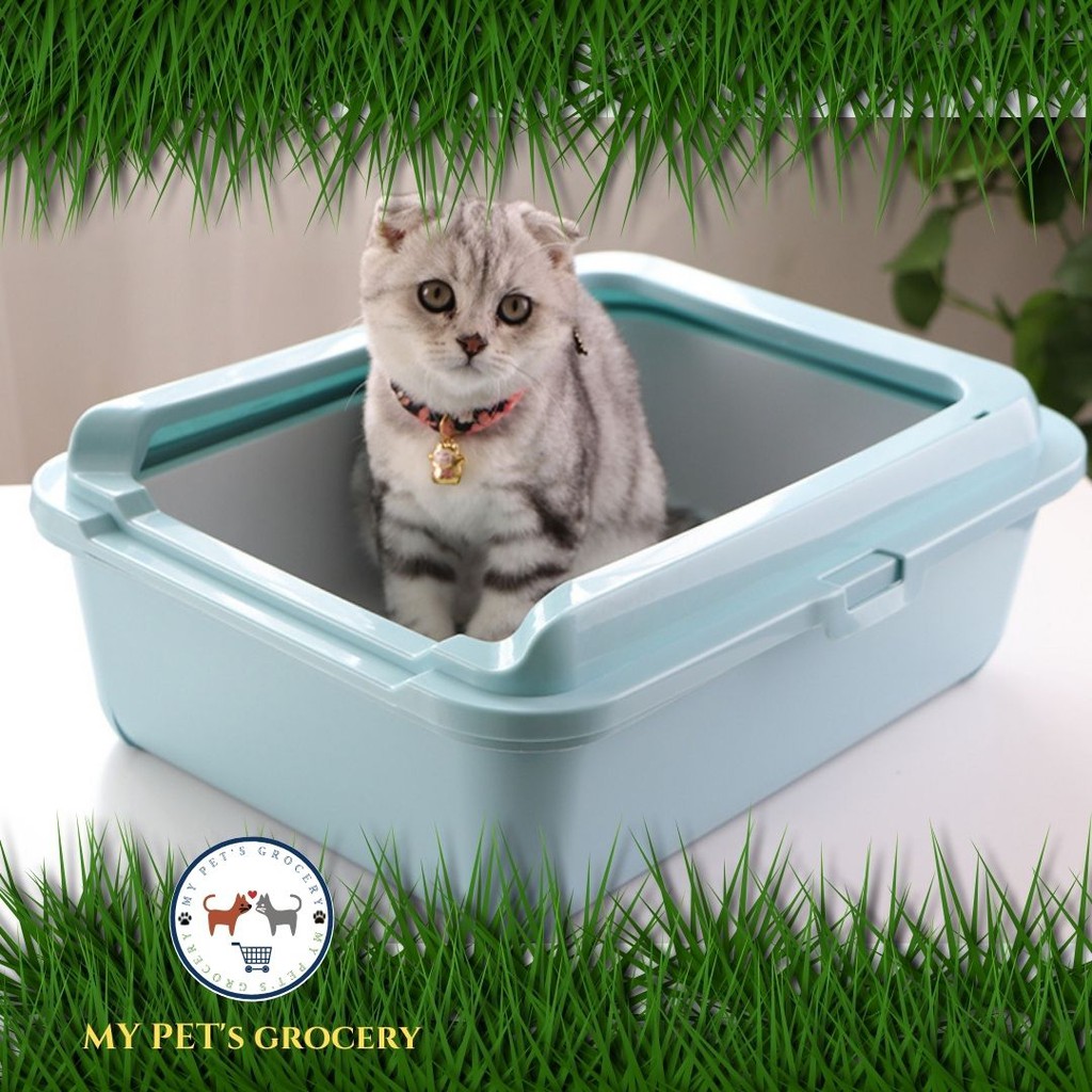 Buy Sales🔥Double Layer Filter Cat Litter Tray Pinewood Cat Litter 