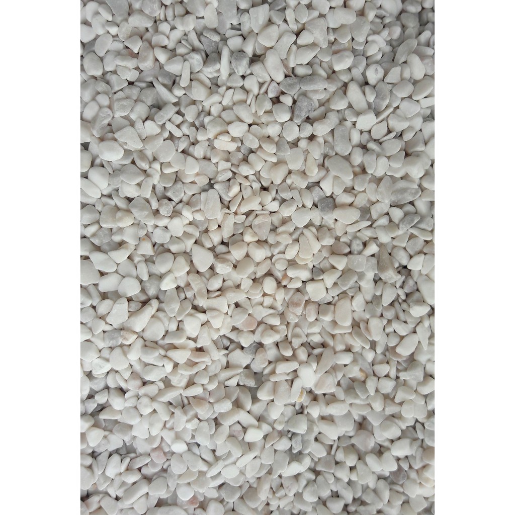 1kg 15mm White Pebble Wash Stone Garden Landscape Decoration Shopee