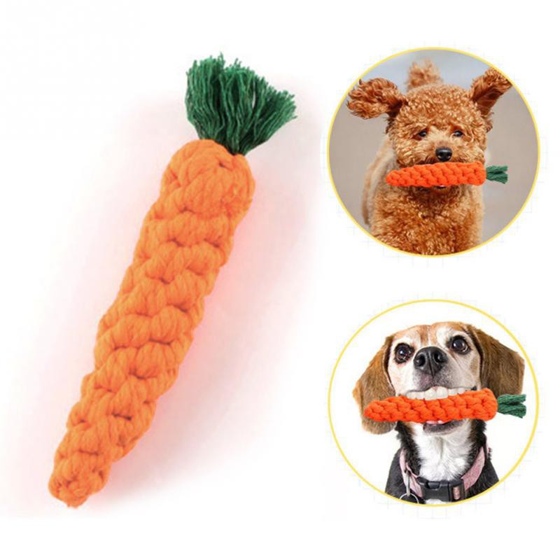 Do Carrots Clean Dogs Teeth
