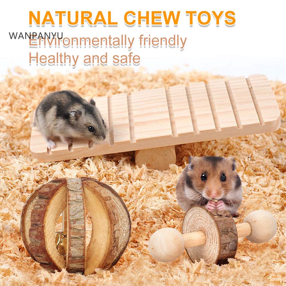 Safe Toys For Pet Rats Wow Blog