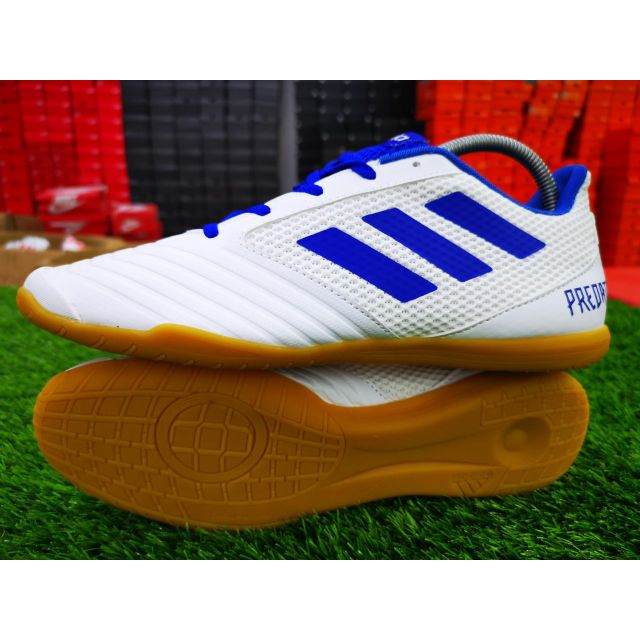 predator 19.4 indoor