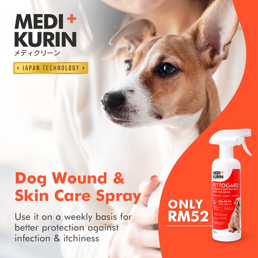 Does Lysol Kill Dog Lice