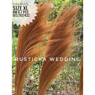  Daun Pampas Kering  Dry Grass Weed Leaves Wedding Flower 