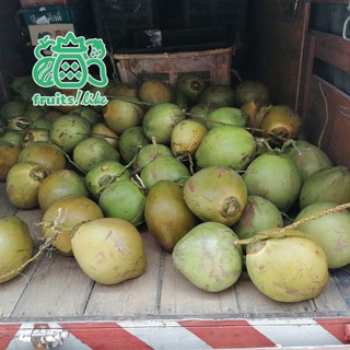  Kelapa  Muda  Young Coconut x 6 Biji  Shopee Malaysia