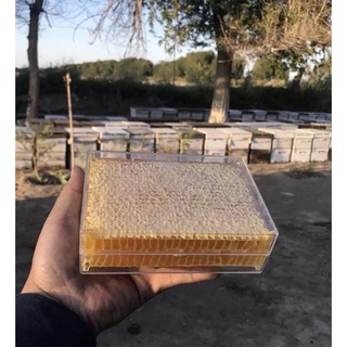 🍯 100% Pure Natural Honey comb Madu Sarang / Sarang Lebah 500g