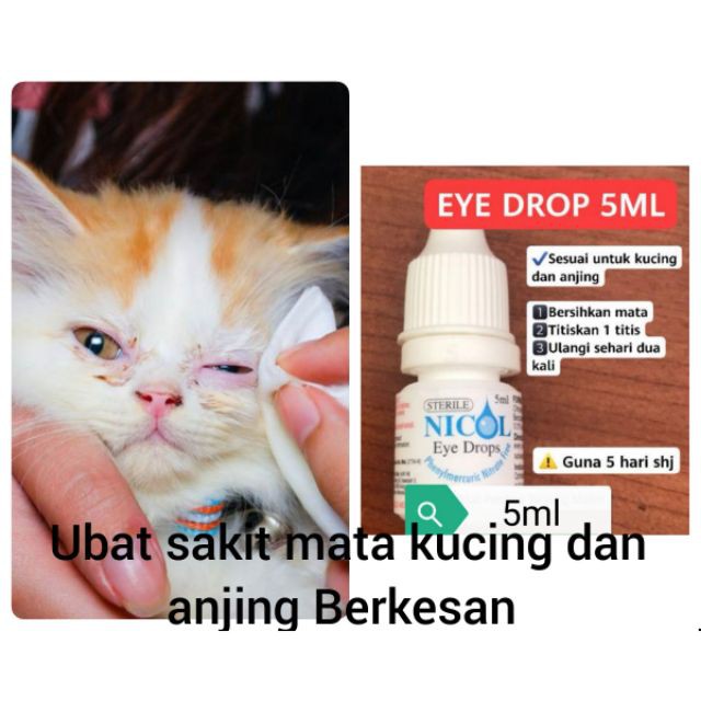 Ubat Sakit Mata Kucing Dan Anjing Berkesan 5ml Shopee Malaysia