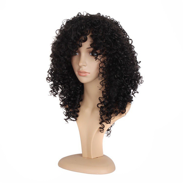 Afro Kinky Curly Synthetic Color Short Women Kanekalon Heat