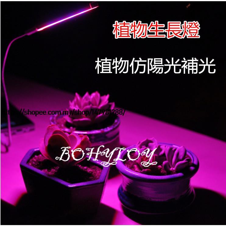 植物生长灯灯led灯led植物灯生长灯室内仿太阳光补光灯花卉多肉植物红蓝灯植物灯太阳灯水仙花绿萝草