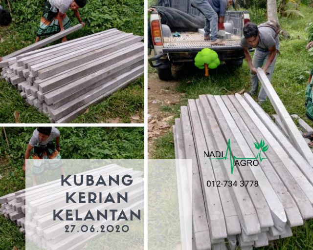 Harga Tiang Rumah Hal