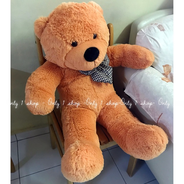 1 meter teddy bear