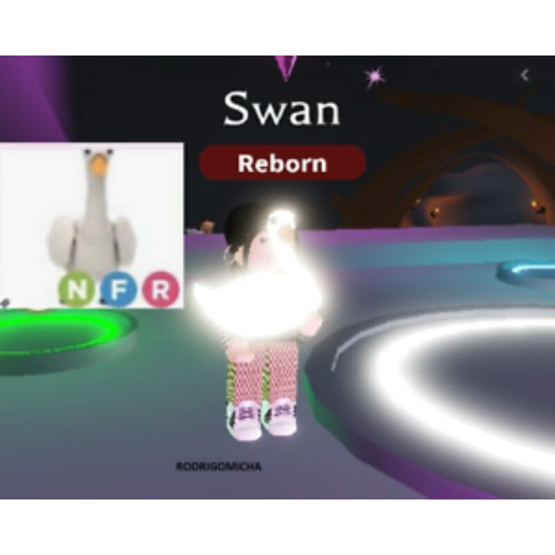 Adopt Me Swan Neon Fly Ride Nfr Shopee Malaysia - roblox neon swan