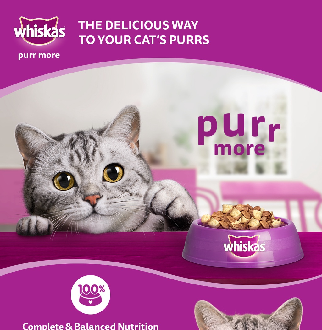WHISKAS Junior Mackerel Flavor with Milk Kitten Food, 1.1 kg. Dry Cat