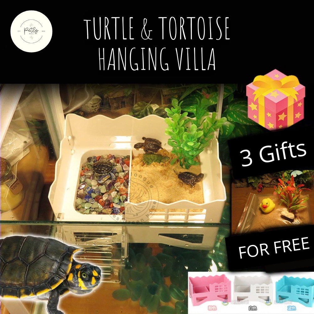 [PetlyMall] Reptile Turtle Tortoise Hanging Floating Villa Basking Ramp