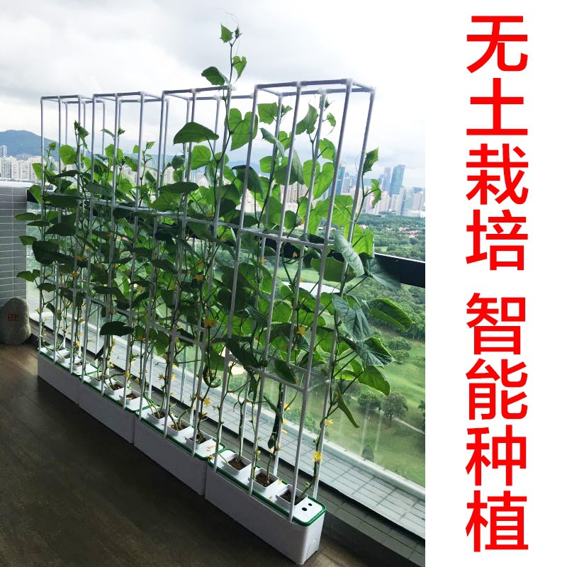 陽臺室內種菜花盆機設備神器家庭菜園水培無土栽培有機蔬菜種植箱 Shopee Malaysia