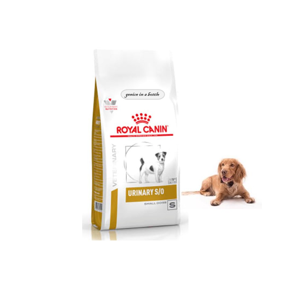 royal canin urinary small dog 8kg