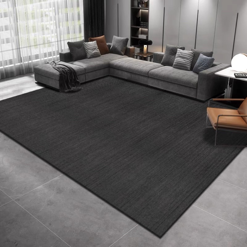 Simple Elegance Luxury Plain Design Karpet Velvet Hiasan Ruang Tamu Living Room Decoration Rugs Carpet Besar Murah