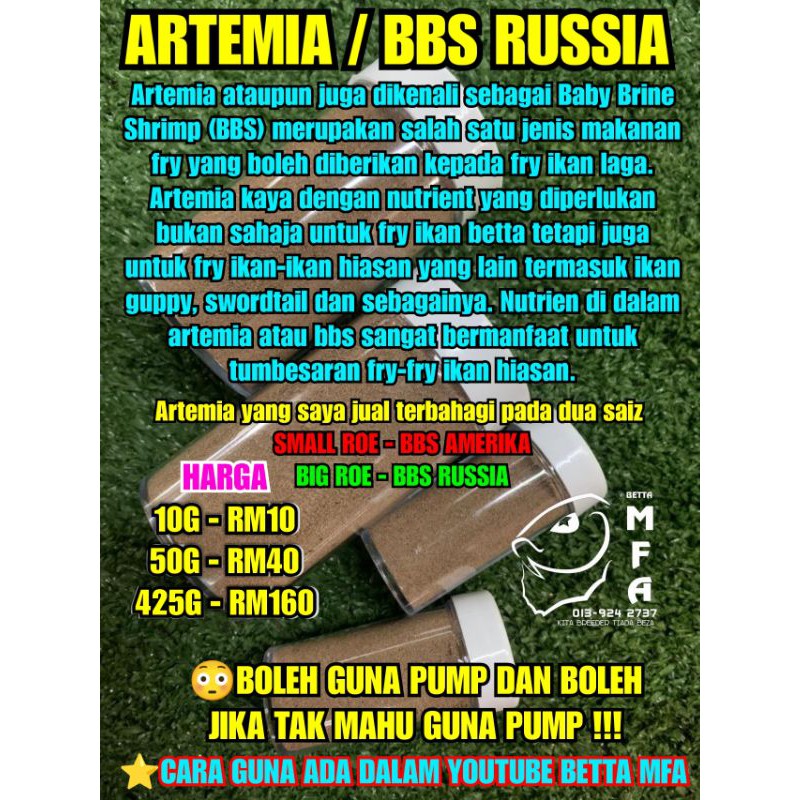 ARTEMIA / BBS RUSSIA (BIG ROE) - BOLEH TETAS TANPA PERLU GUNA PUMP