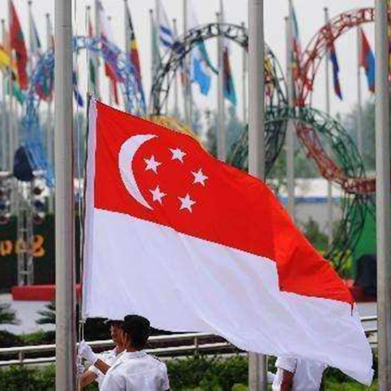 Singapore flag Singapore Country Flag 90*150cm Hanging Office/Activity/parade/Festival/Home Decoration National Flag