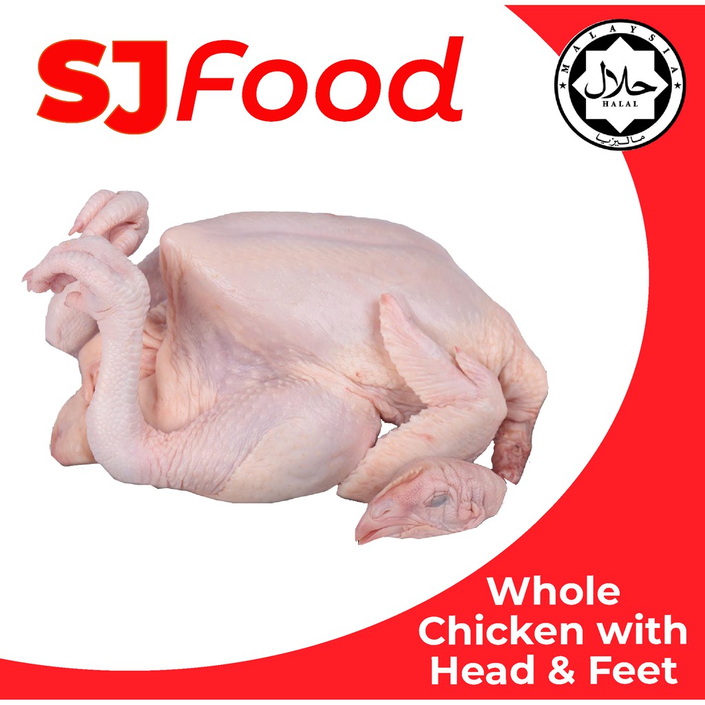 SJ Food 1.6KG 1.8KG Fresh Frozen Whole Chicken With Head & Feet