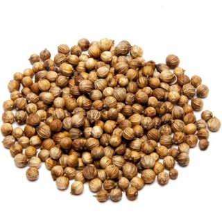 Biji Ketumbar Biji Rempah Coriander Seed 100g Shopee Malaysia