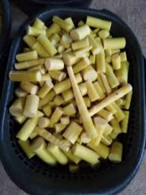 Rebung Buluh Madu (segar)  Shopee Malaysia