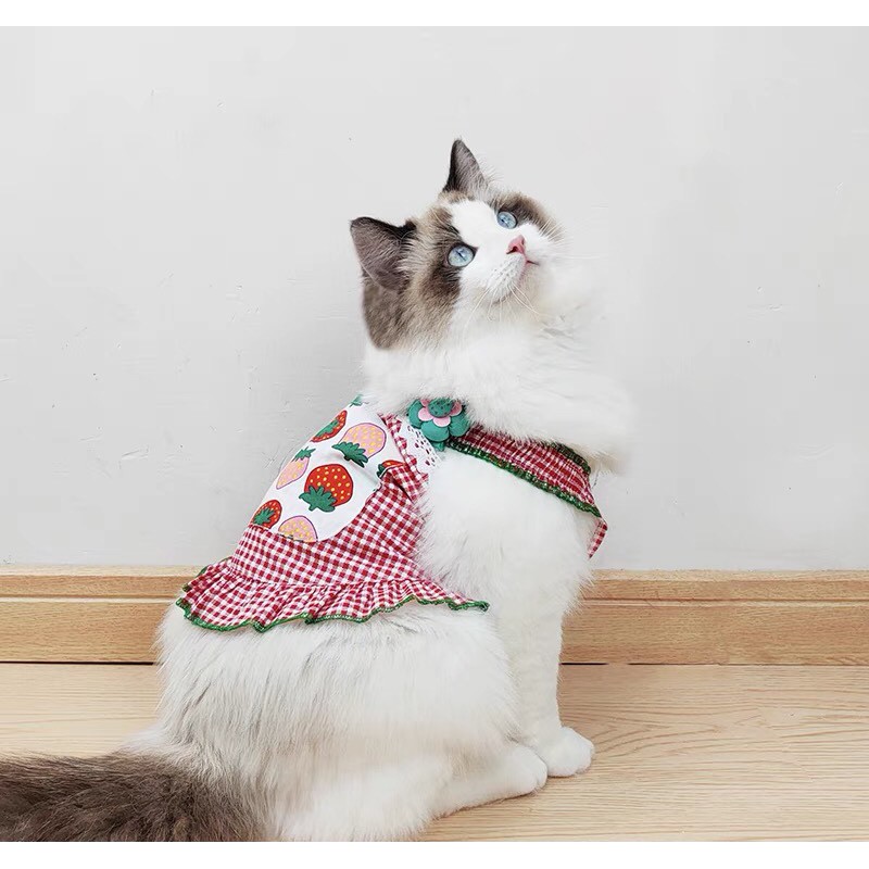 Áo cho chó mèo là một vật dụng rất cần thiết cho những người nuôi thú cưng. Nếu bạn muốn chú chó hoặc mèo của bạn trông đẹp hơn, hãy xem hình ảnh các mẫu áo cho chó mèo thiết kế độc đáo và chất liệu tốt.