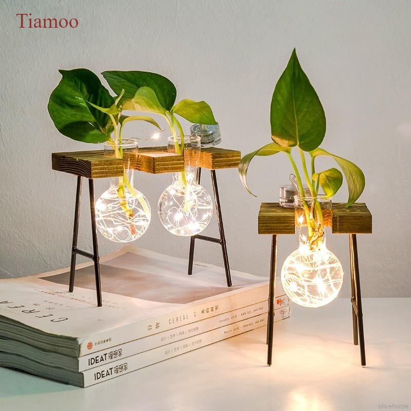 Tiamoo Simple Glass Flower Vase Tube Bottle Hydroponic Terrarium