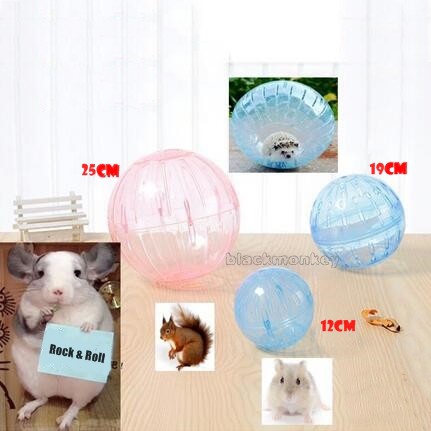 25cm hamster ball