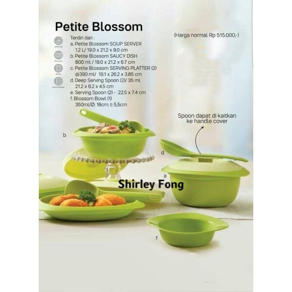 Tupperware PETIT Blossom Green Set (Clearance)