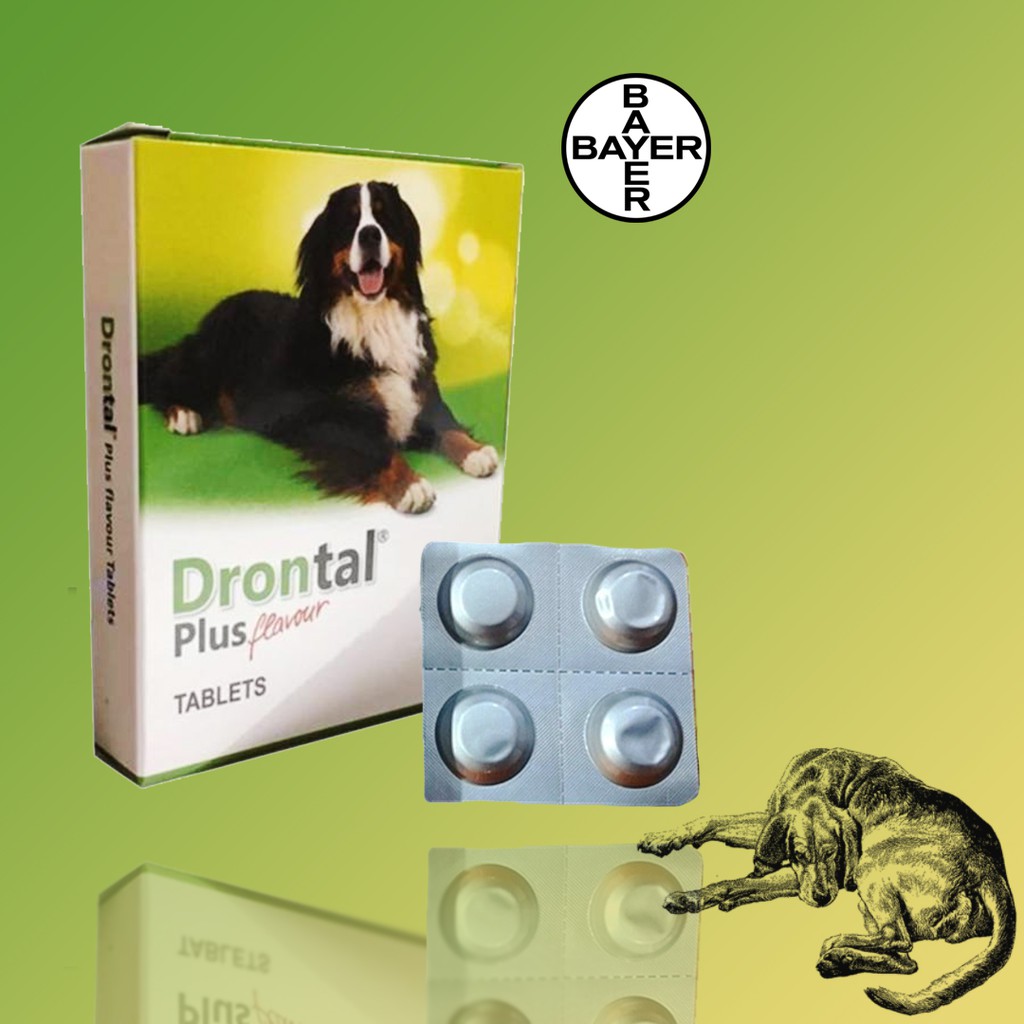 Bayer Dog Drontal Plus Flavour Deworm Tablet 4 tabs per box Shopee