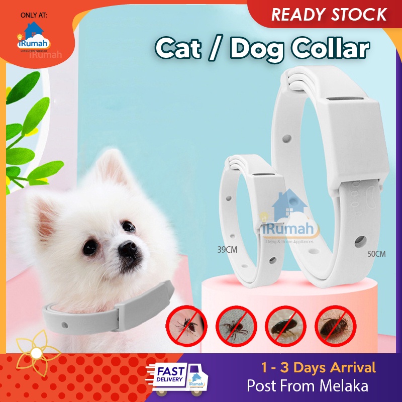 Anti Flea Collar Cat Dog Killer Removal Flea Kolar Kucing Kutu Ubat