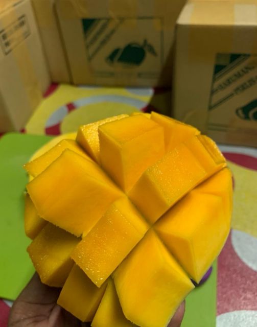 Mangga Harumanis Murah From Perlis Andoriginal ️ 3kg Termasuk Postage