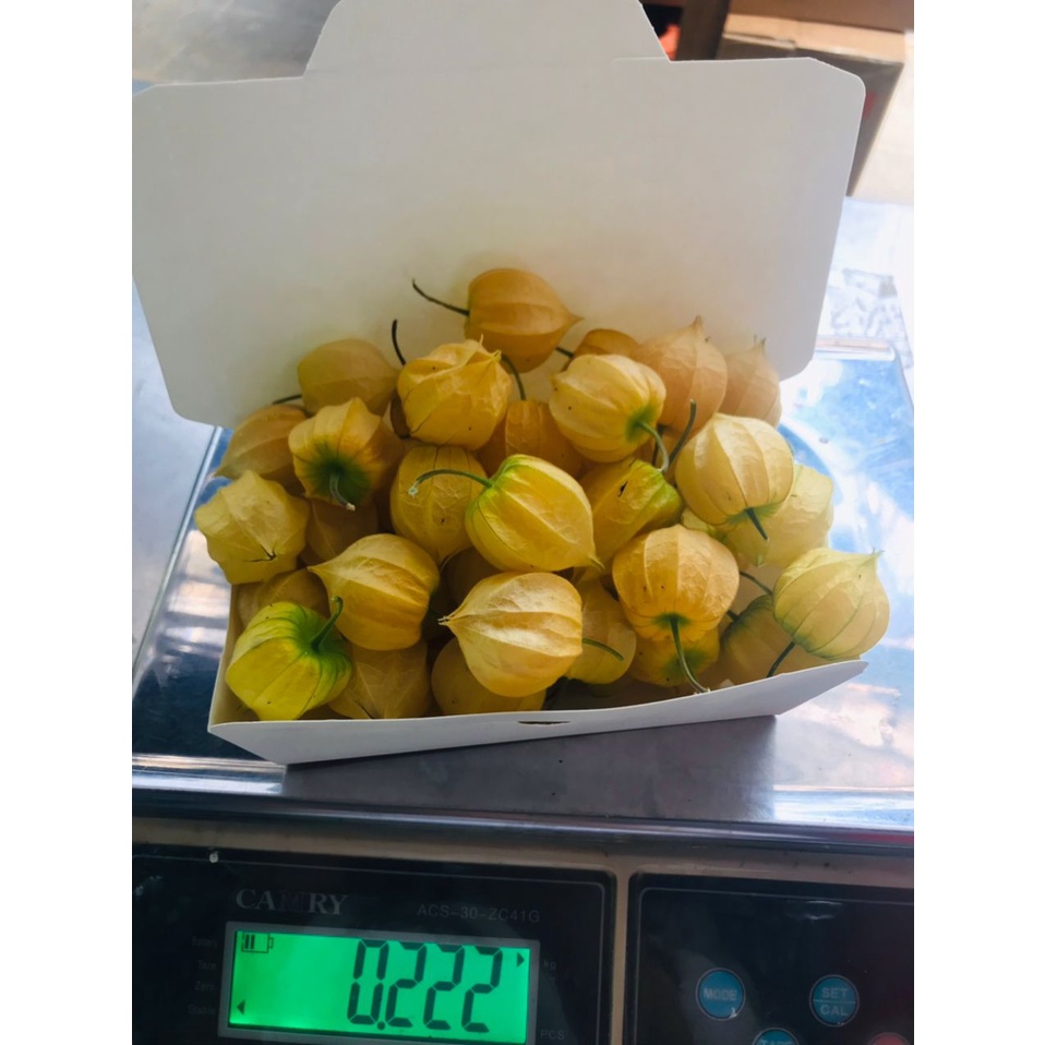 Buy Fresh Organic Cape Gooseberry (Physalis) from Cameron 