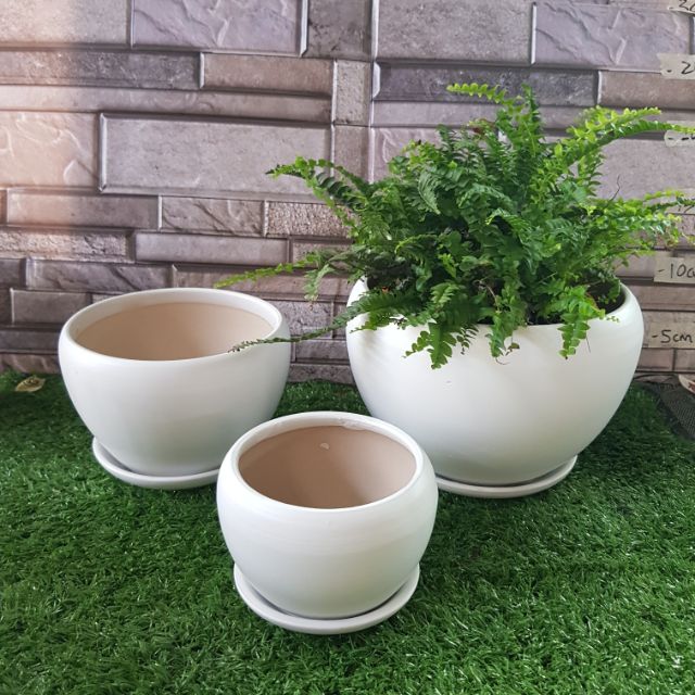 Round White Ceramic Apple Flower Pot D4 Pasu  Bunga Putih  