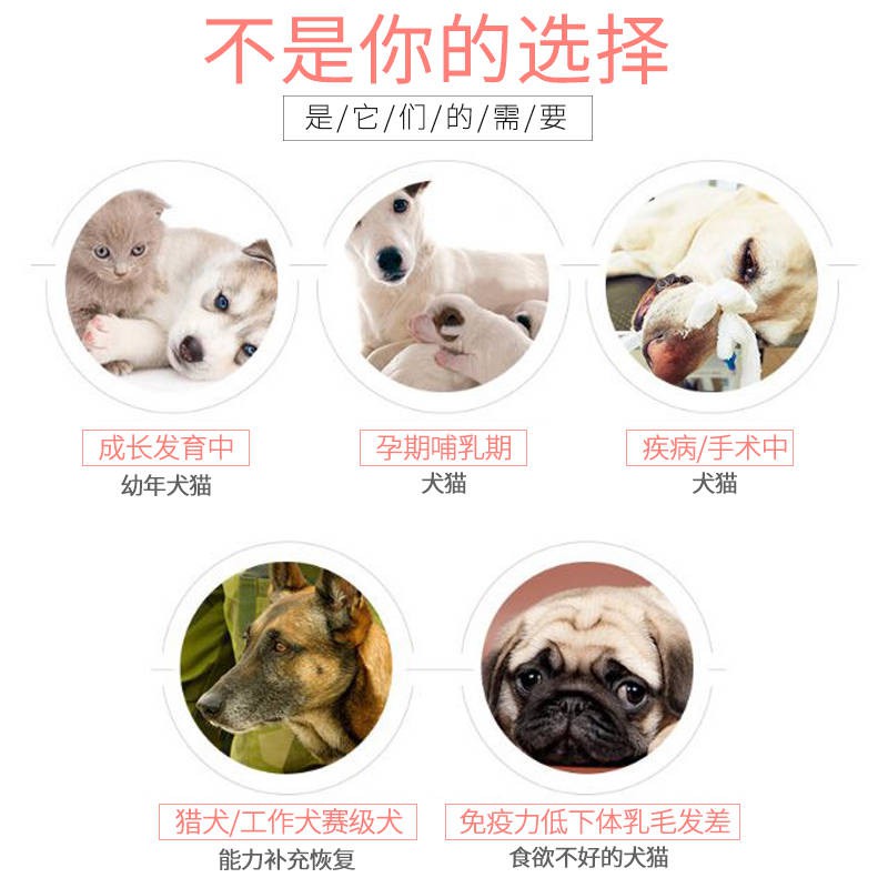 促销 宠物狗狗营养膏猫咪宠物幼猫幼犬增肥增强免疫力调理肠胃补钙保健 浣溪沙 Shopee Malaysia