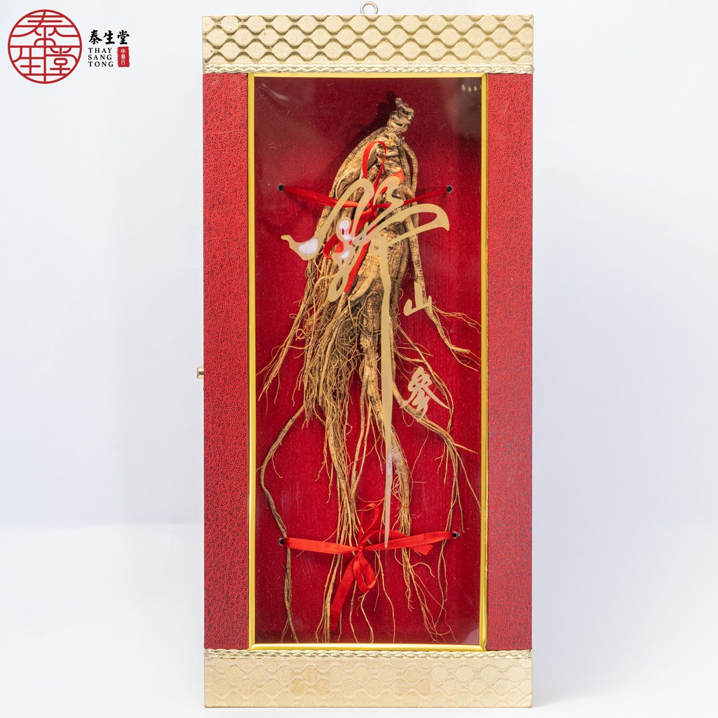 人参 顶级100 纯正长白山人参100 Original Ginseng 男人吃了强身健体女人吃了气血通顺 包磨粉不加费 每条人参重量50 80克 Shopee Malaysia