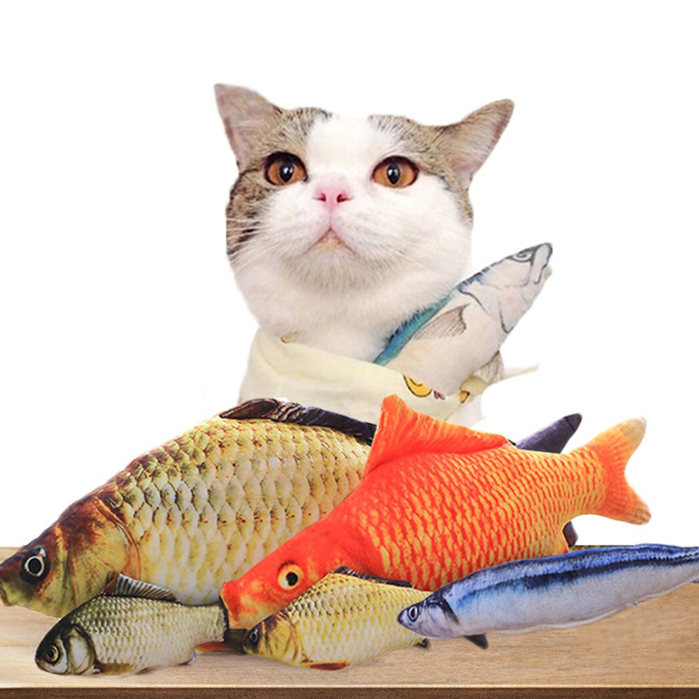 fish cat