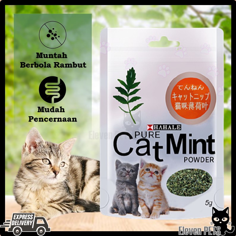 Hahale Pure Cat Mint Powder 5g (Catnip Kucing / Catnip / Cat Nip/Semula Jadi/Natural Catnip/天然猫草