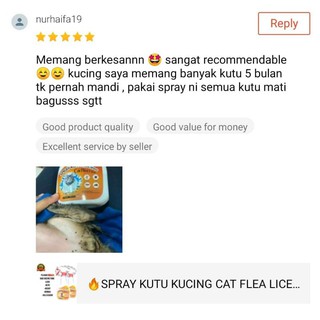 Spray Ubat Kutu Kurap Kucing Organik (Lavender) 500ml cat 