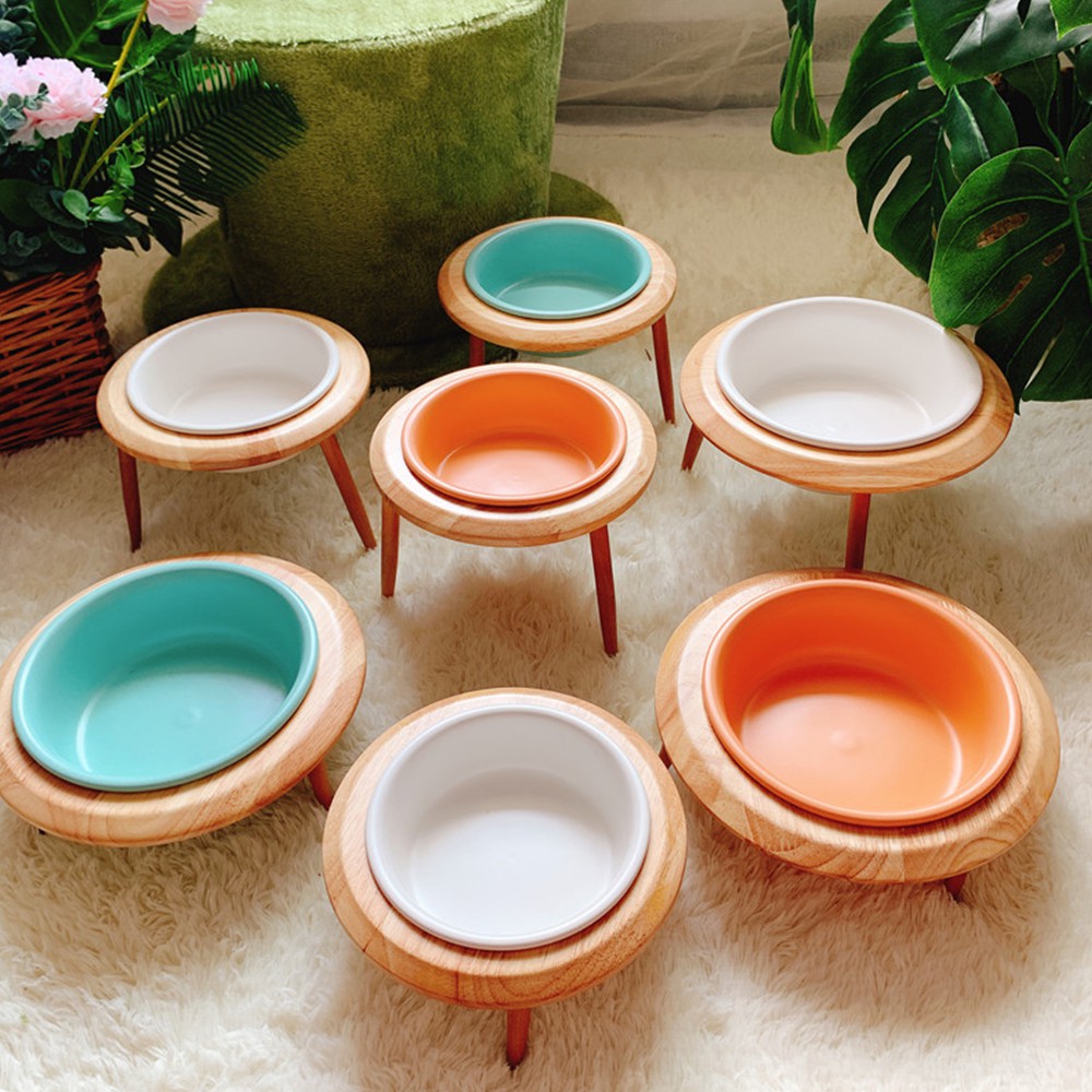 raised ceramic dog bowls